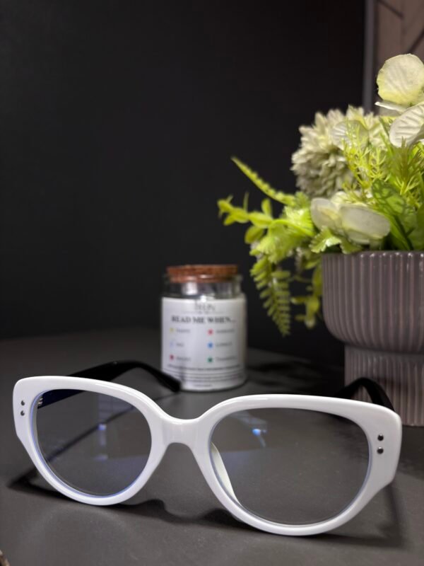 DENZY glasses